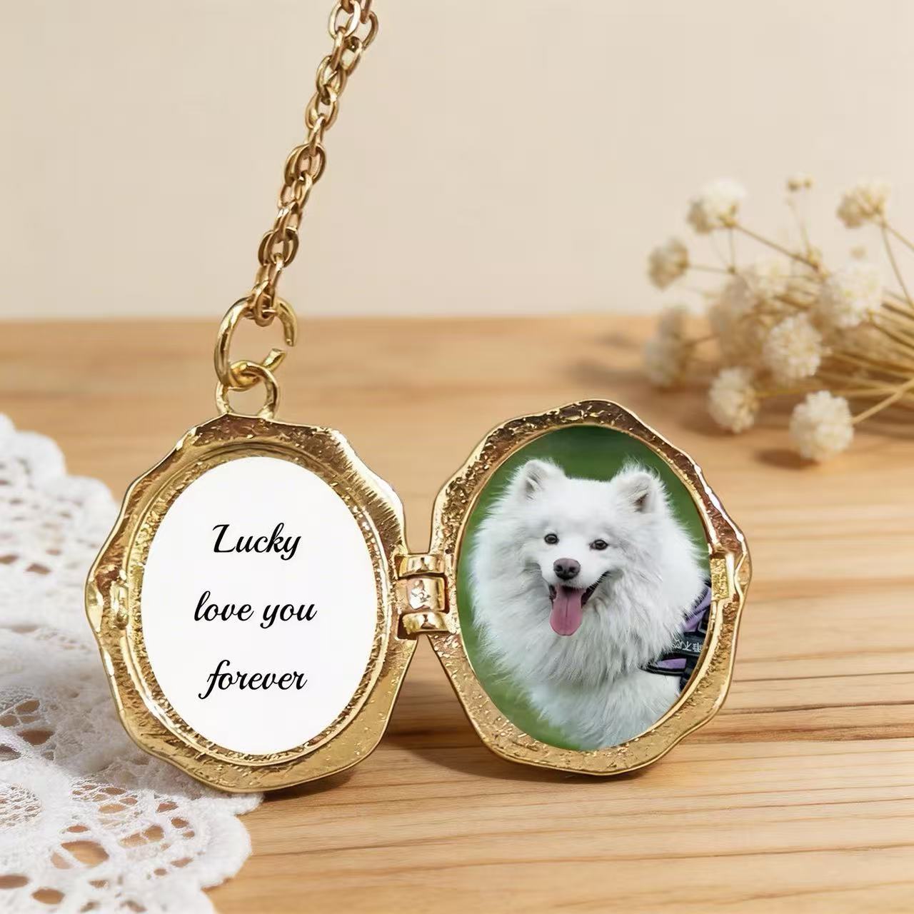 ba418364-a62a-4764-a221-658ca1e0dce2